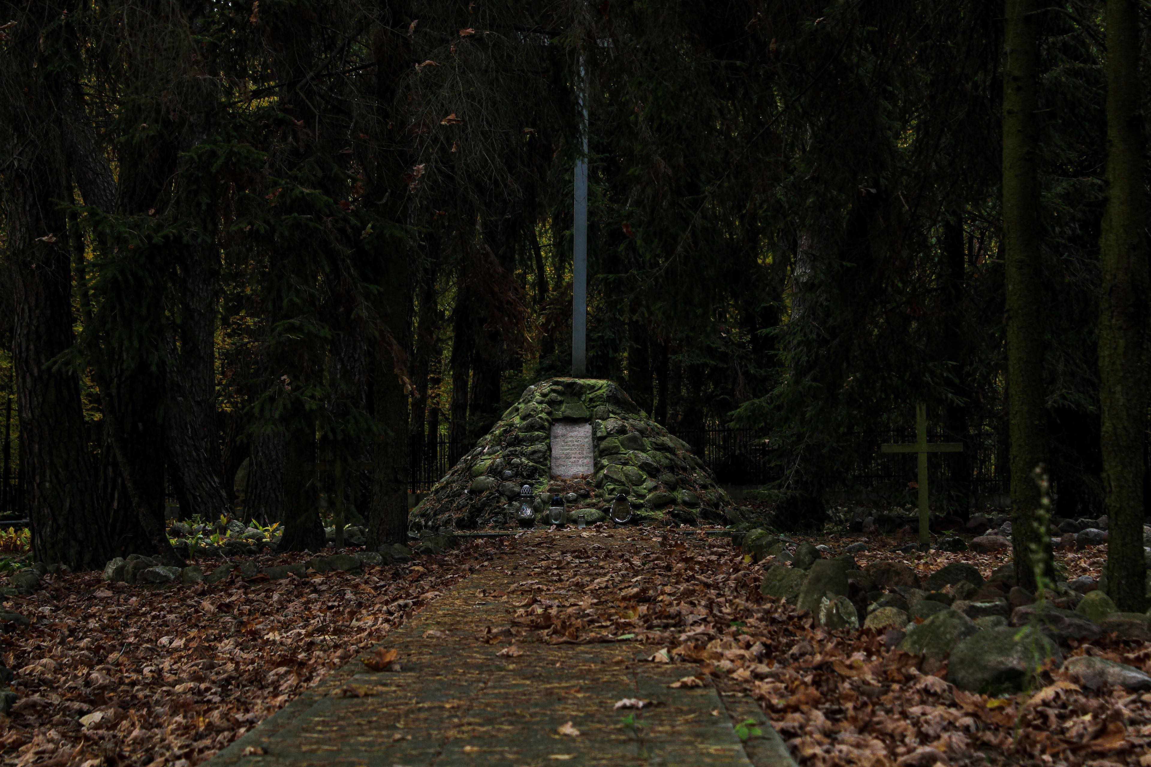 KFT-2025
